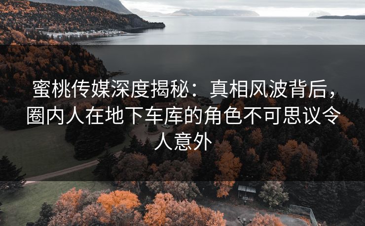 蜜桃传媒深度揭秘：真相风波背后，圈内人在地下车库的角色不可思议令人意外
