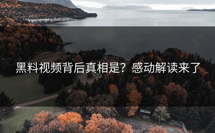 黑料视频背后真相是？感动解读来了