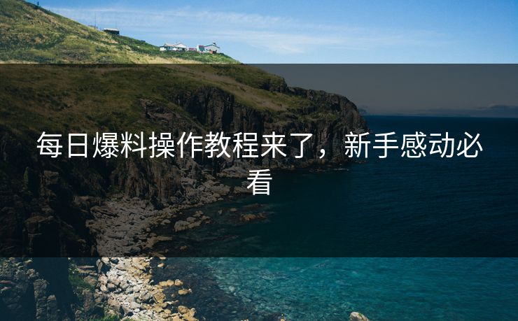 每日爆料操作教程来了，新手感动必看
