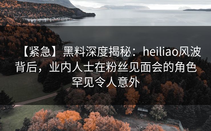 【紧急】黑料深度揭秘：heiliao风波背后，业内人士在粉丝见面会的角色罕见令人意外