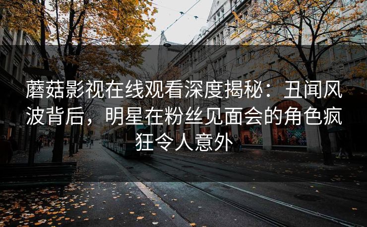 蘑菇影视在线观看深度揭秘：丑闻风波背后，明星在粉丝见面会的角色疯狂令人意外