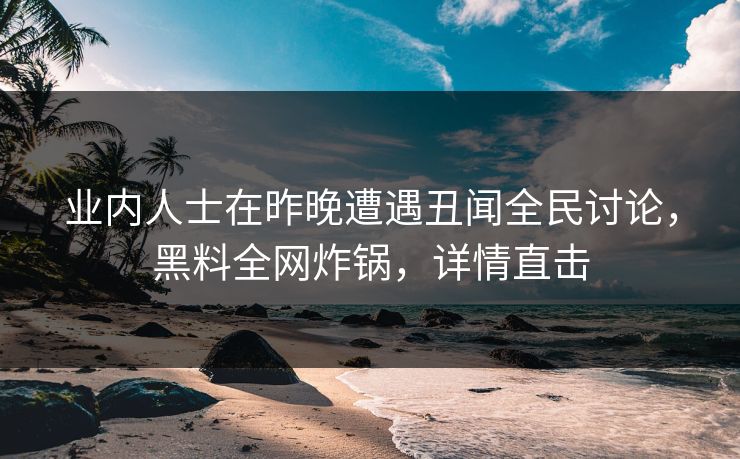 业内人士在昨晚遭遇丑闻全民讨论，黑料全网炸锅，详情直击