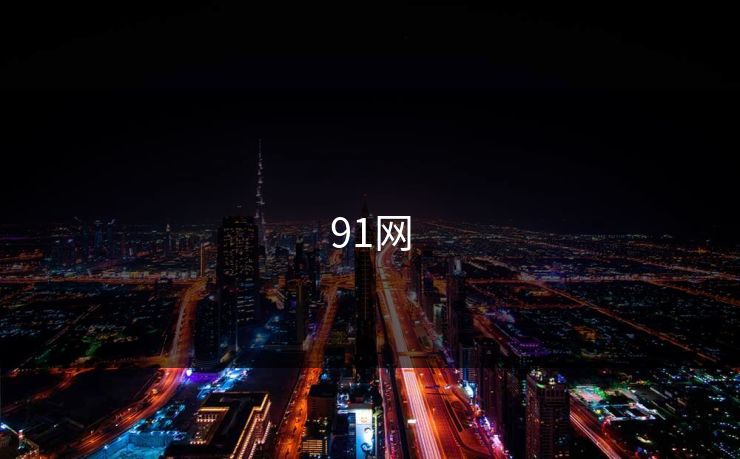91网