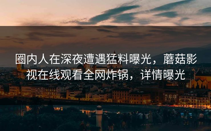 圈内人在深夜遭遇猛料曝光，蘑菇影视在线观看全网炸锅，详情曝光